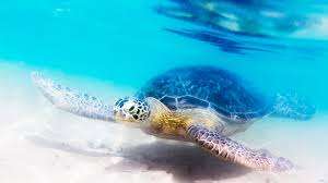 images-2-13